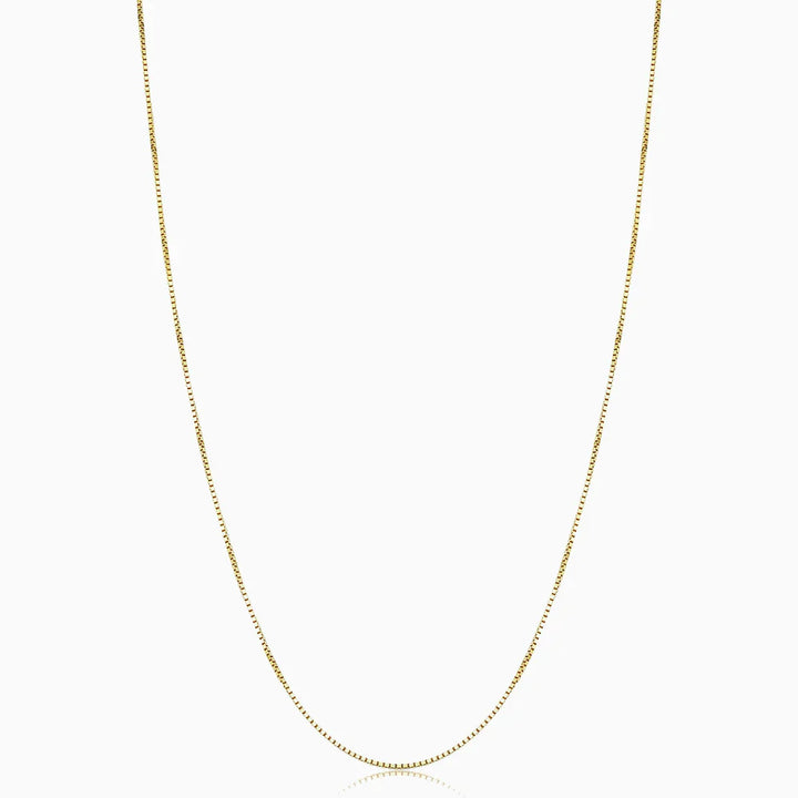 Collier Bodega Box